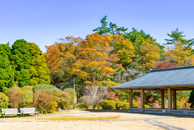 神奈川県立 恩賜箱根公園